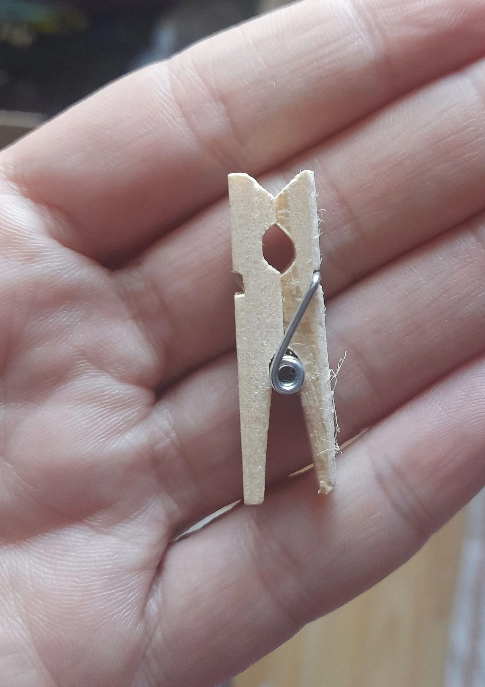 Set of mini clothespins 3.5 cm – photo 2